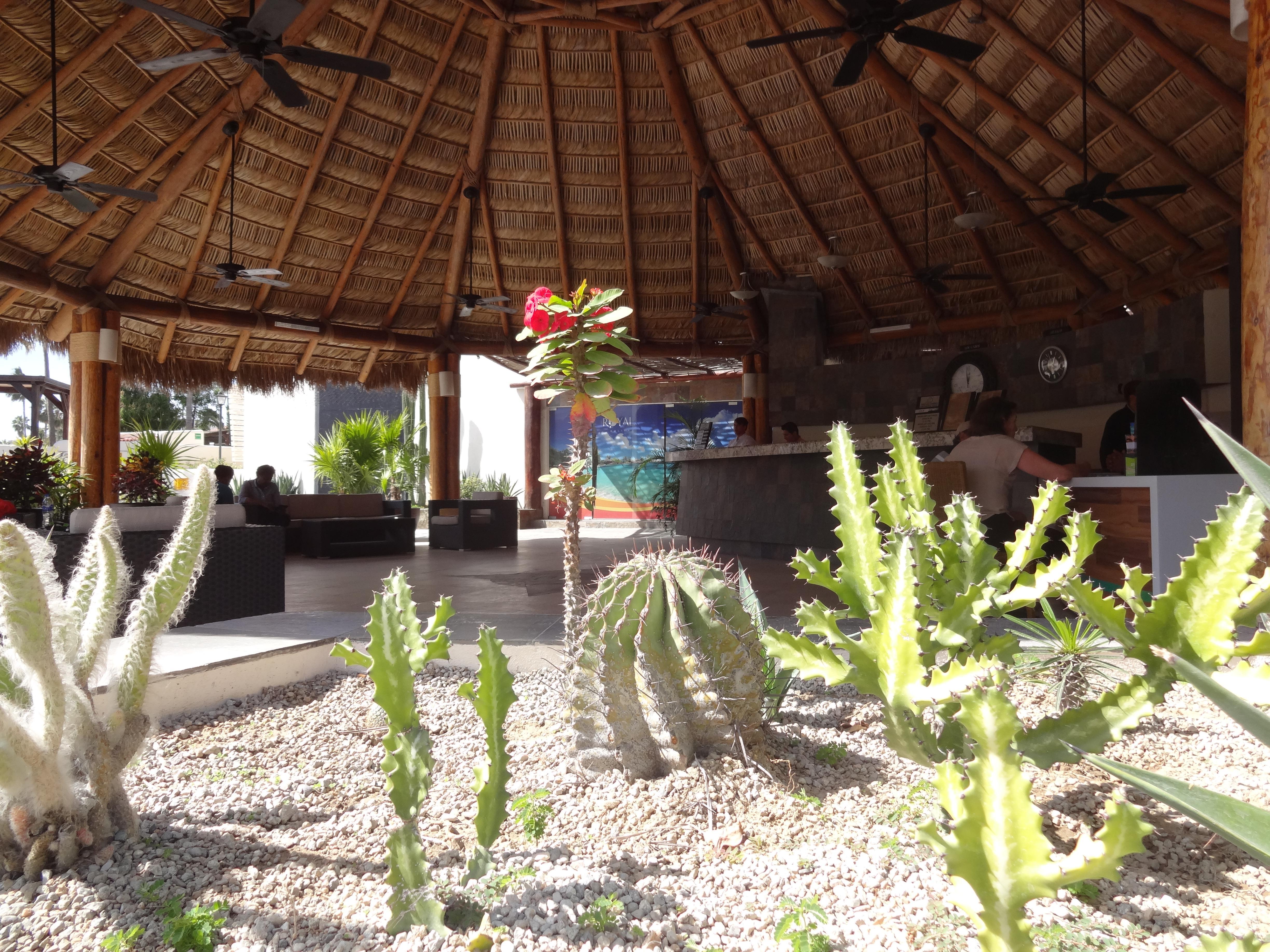 Park Royal Homestay Los Cabos San José del Cabo Extérieur photo